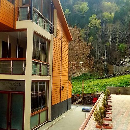 ウズンギョル Talipoglu Apartアパートホテル エクステリア 写真